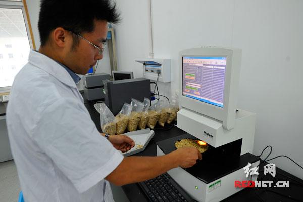 湖南省粮油产品质量监测中心将投入国内最先进的设备为夏粮收购服务
